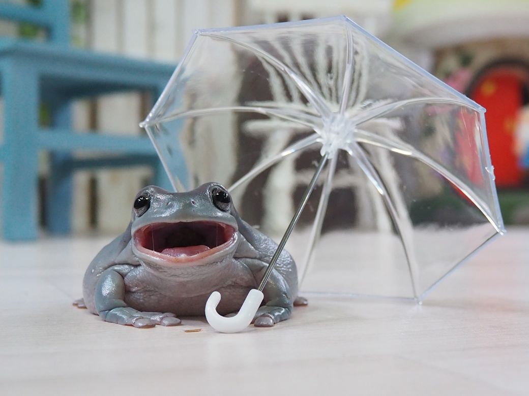 （写真提供：ぴよさん）