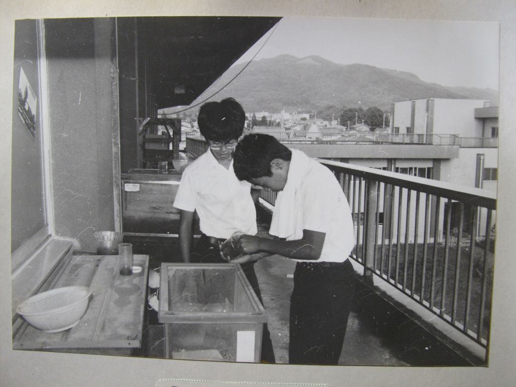  糞虫の飼育実験をしている中村さん（右）（提供：中村圭一さん）