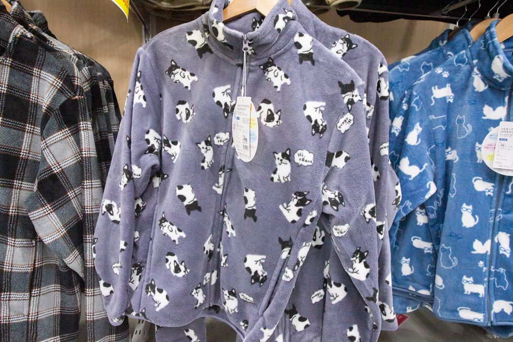 フレンチブルドッグがとってもキュート！（筆者撮影）