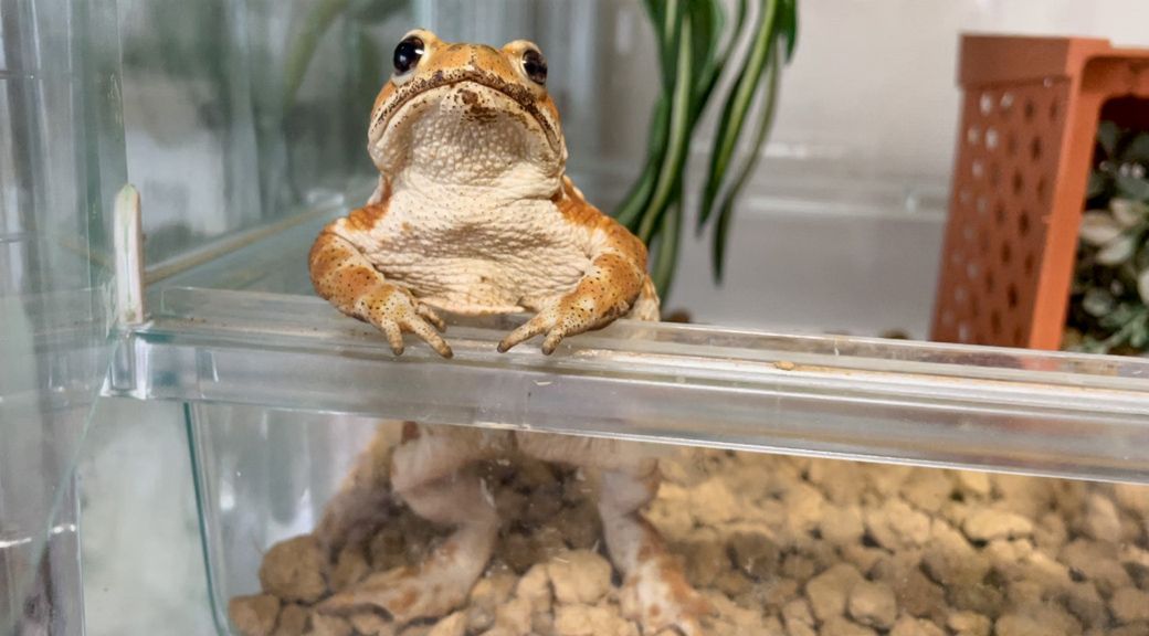 （写真提供：ぴよさん）