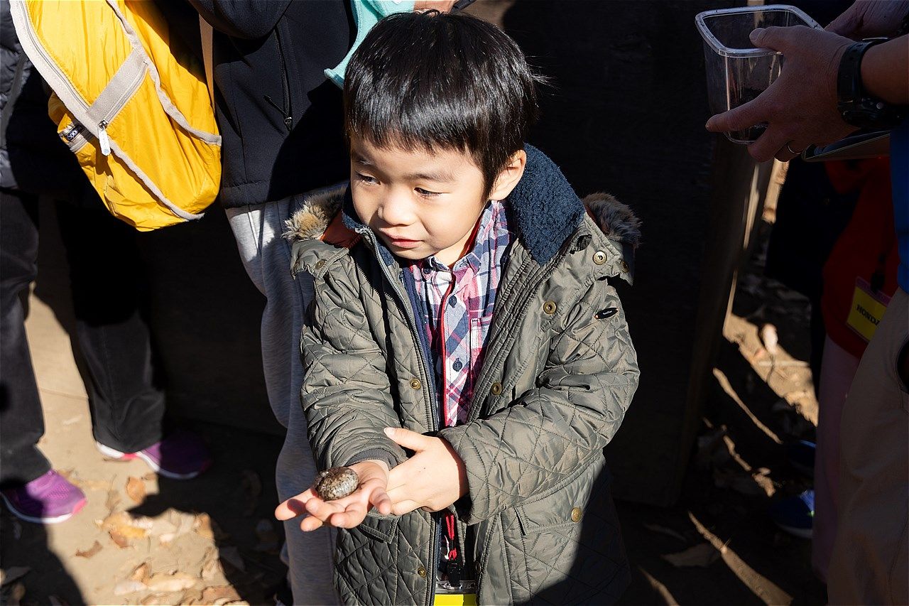 2025年12月にモビリティリゾートもてぎで開催されたホンダの株主優待イベントの様子（写真：三木 宏章）