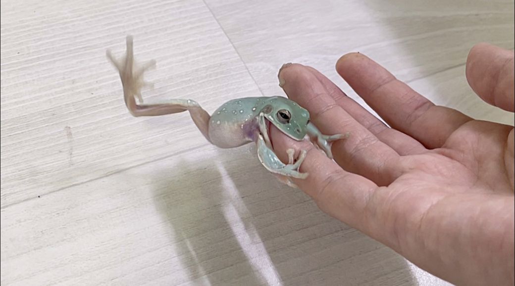 （写真提供：ぴよさん）