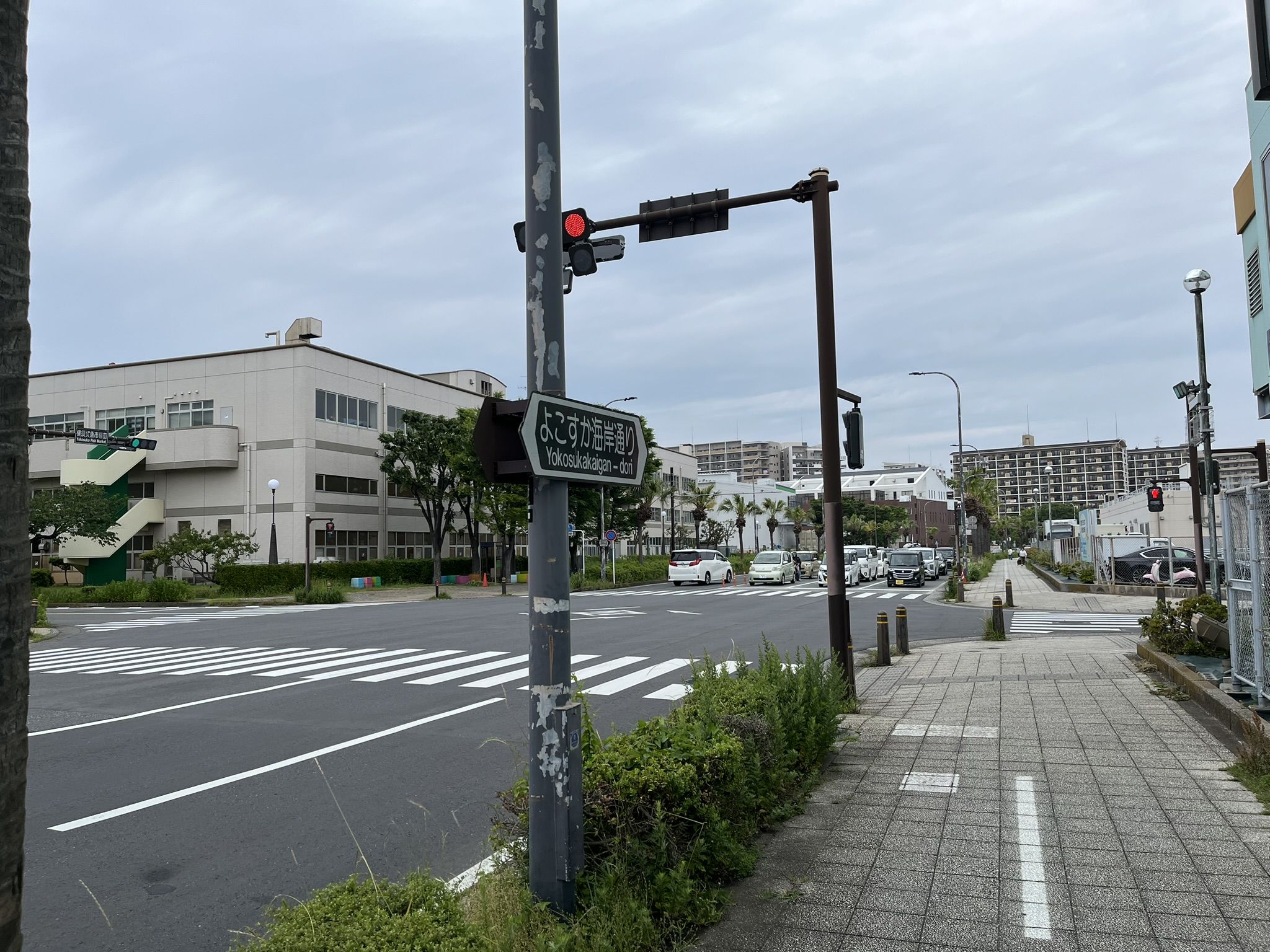 「よこすか海岸通り」の横須賀市内中心部の様子（筆者撮影）