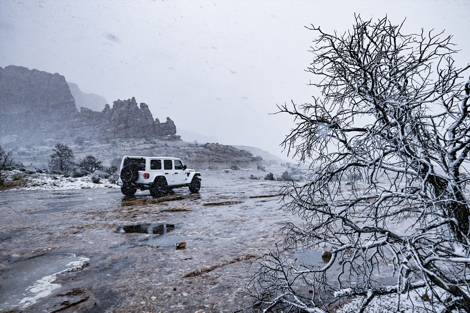 雪のなかでも特徴的なテールランプは視認性が高かった（写真：Stellantisジャパン）