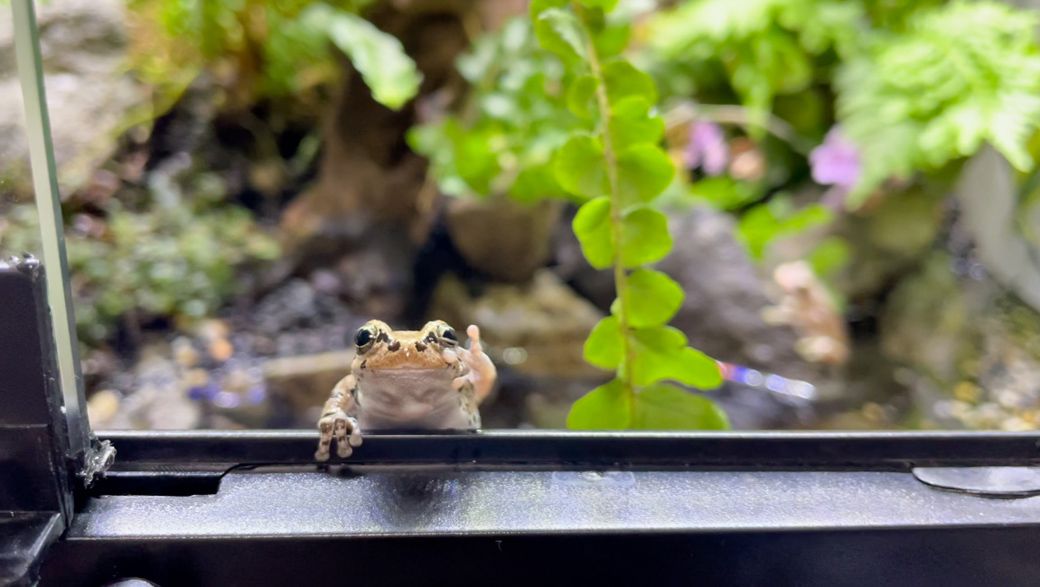 （写真提供：ぴよさん）