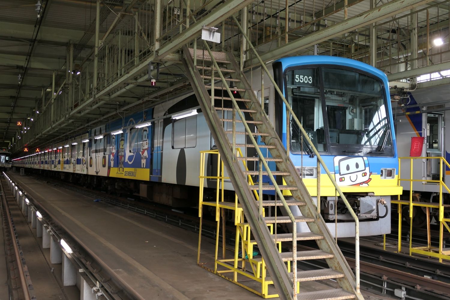 「せんぼくん」は難波行きの場合の正面と進行方向右側にデザイン（記者撮影）