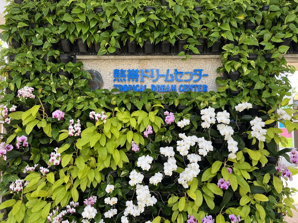沖縄美ら海水族館と同じ、海洋博公園にある熱帯ドリームセンター（編集部撮影）