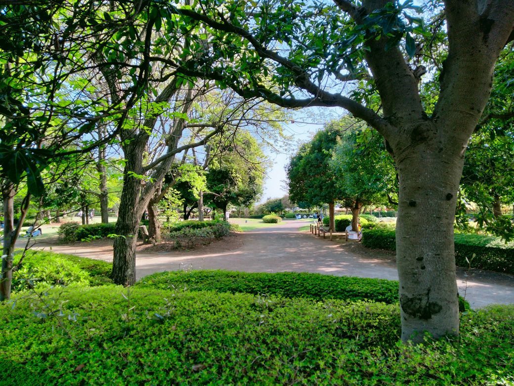 小田急電鉄喜多見電車基地の上につくられた「きたみふれあい広場」。暖かい季節には緑に包まれる（提供：コマツさん）