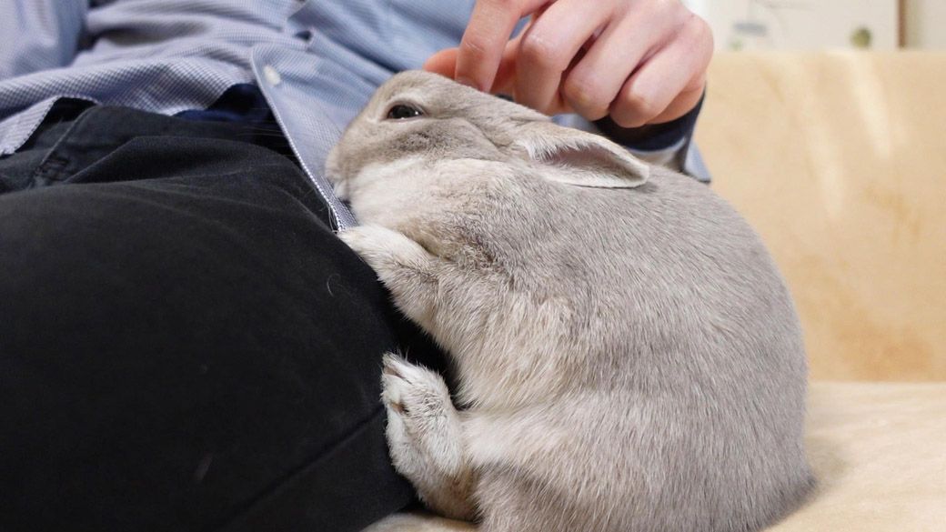 （写真：やすさん提供）