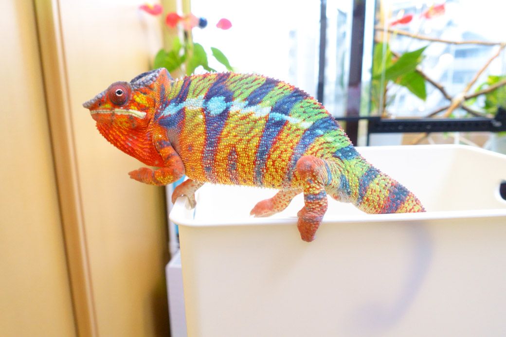 （写真：山村さん提供）