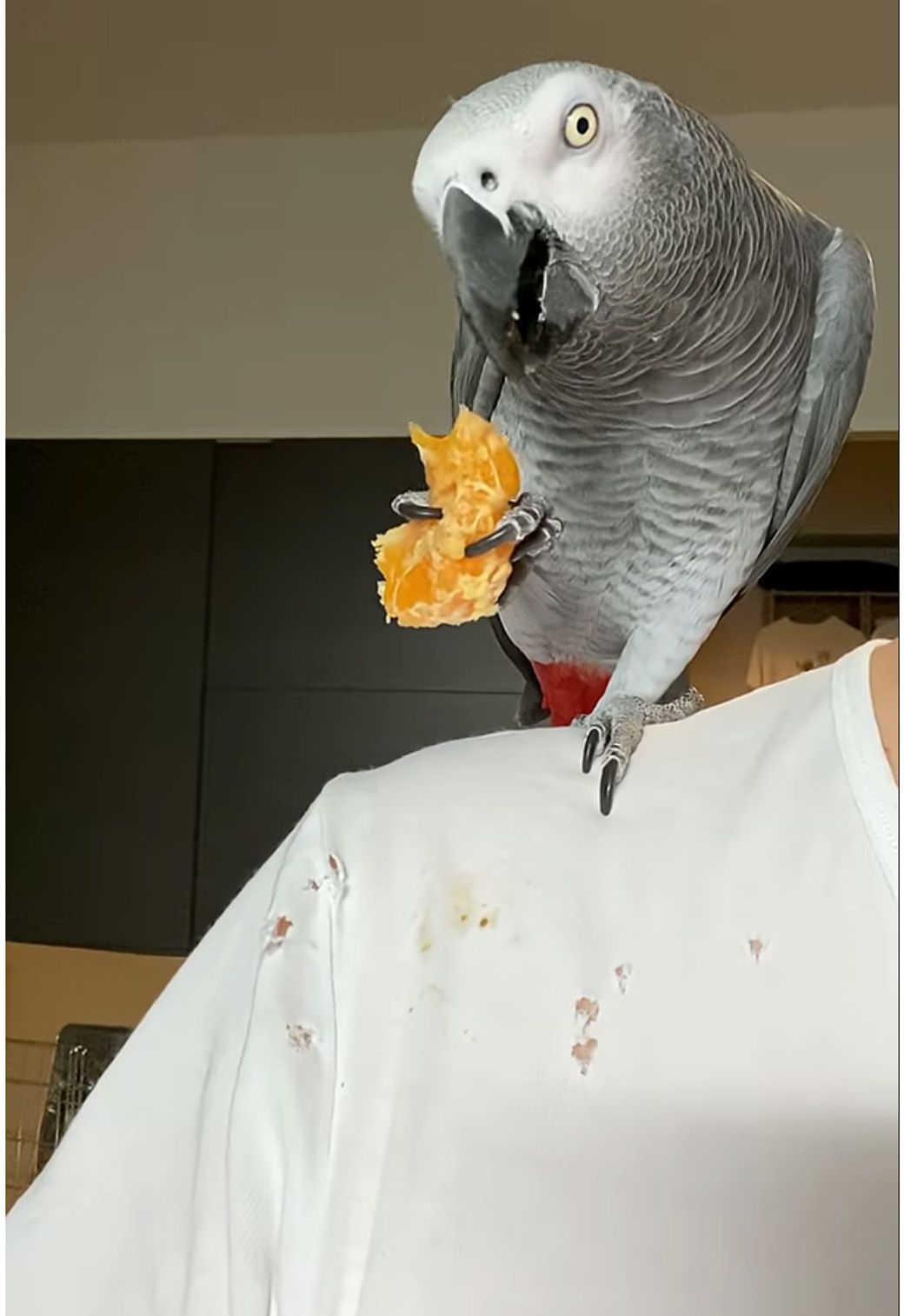 （写真提供：カマタさん）