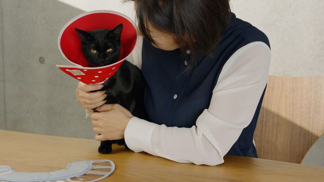 （写真：クロス・クローバー・ジャパン）