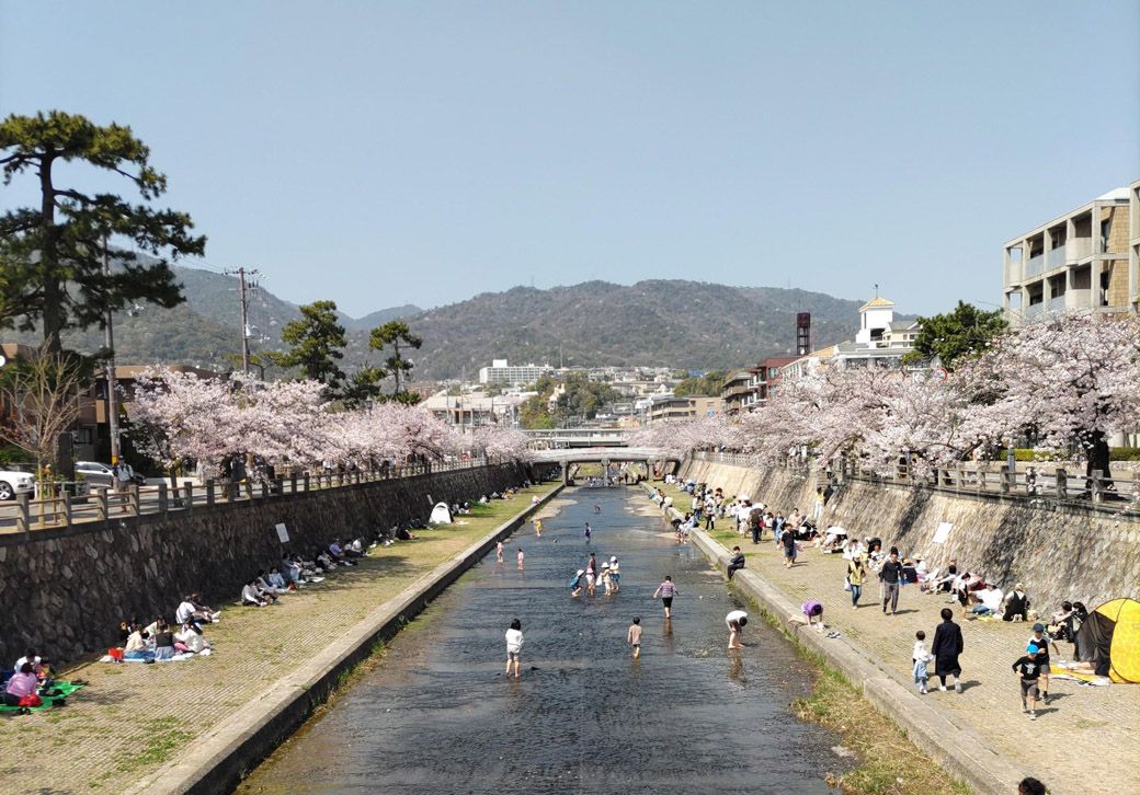 芦屋川（筆者撮影）