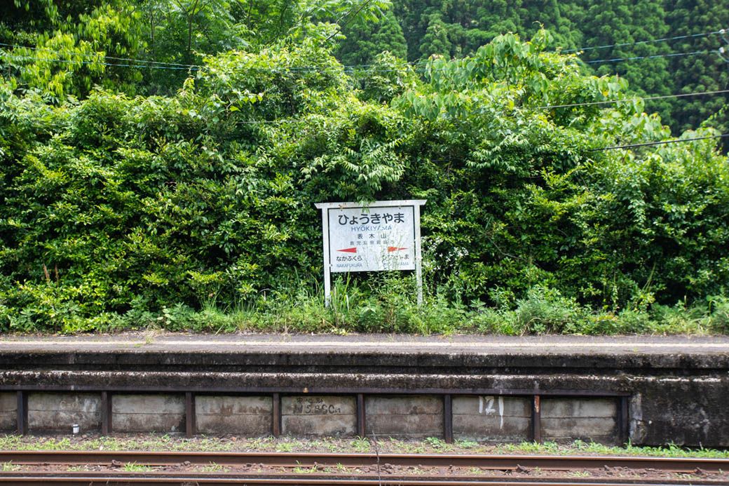 樹勢が良く、緑に飲み込まれそうな駅名標（写真：筆者撮影）