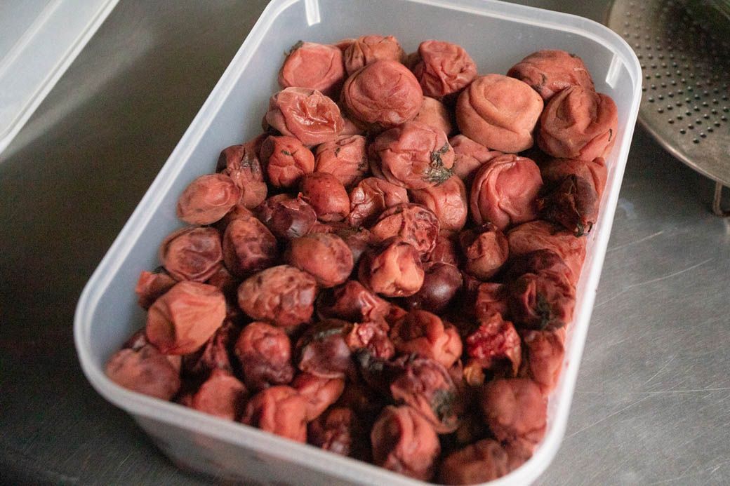 （写真：筆者撮影）