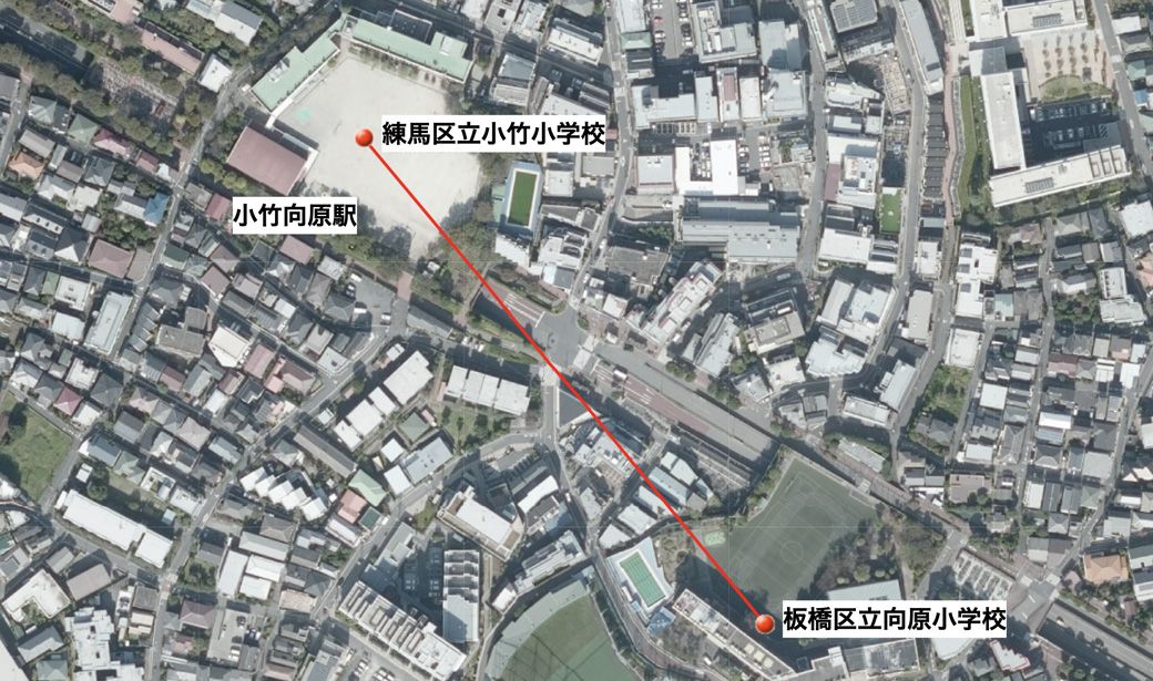 向かい合わせの小学校　直線距離で300メートル以下（国土地理院 電子国土Webより筆者作成）