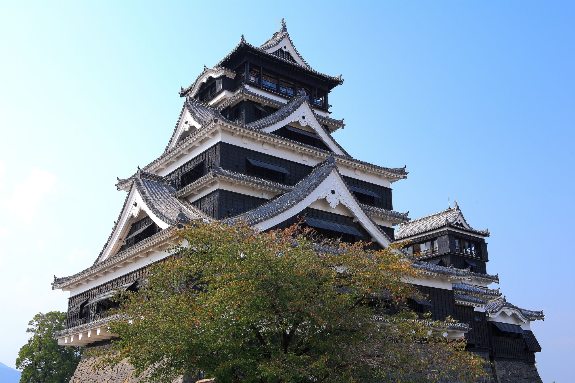 驚愕 大名が建てた 食べられる城 とは 武士と植物の知られざる関係 東洋経済オンライン 経済ニュースの新基準 驚愕 大名が建てた 食べられる城 とは 武士と植物の知られざる関係 東洋経済オンライン 経済ニュースの新基準