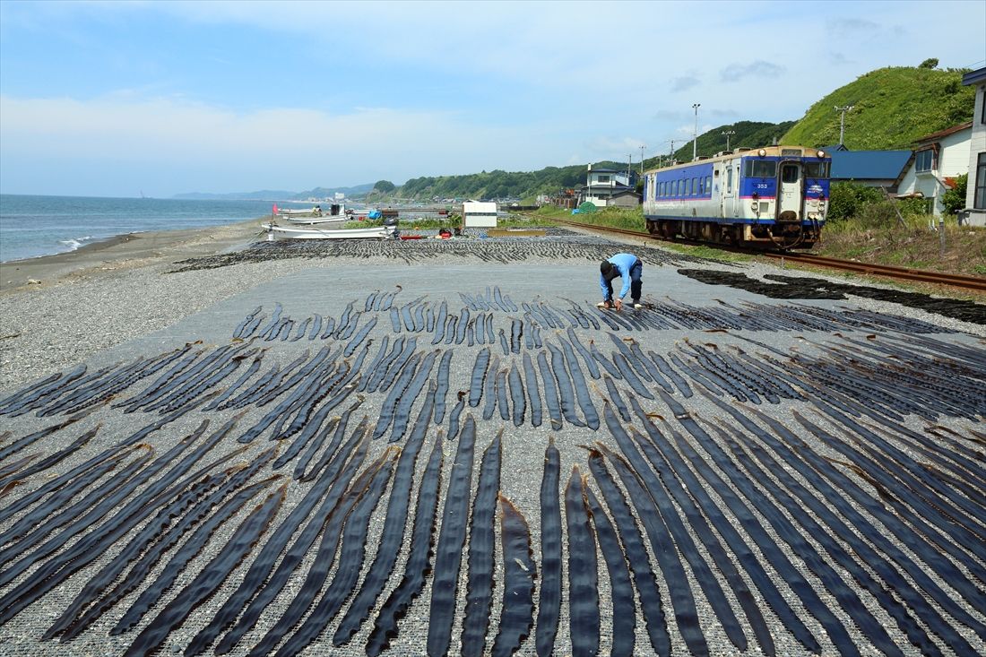 日高昆布干し　日高本線東町―日高幌別　2013年7月（撮影：南正時）