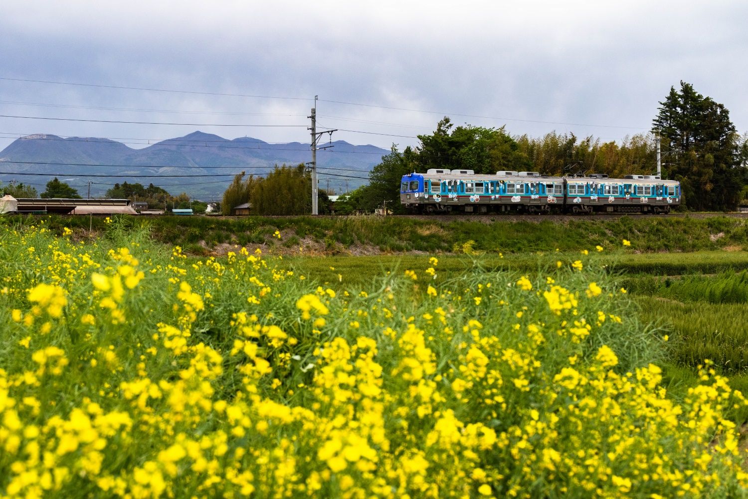 赤城山麓を走るローカル私鉄・上毛電気鉄道。のどかな沿線風景も特徴だ（撮影：鼠入昌史）