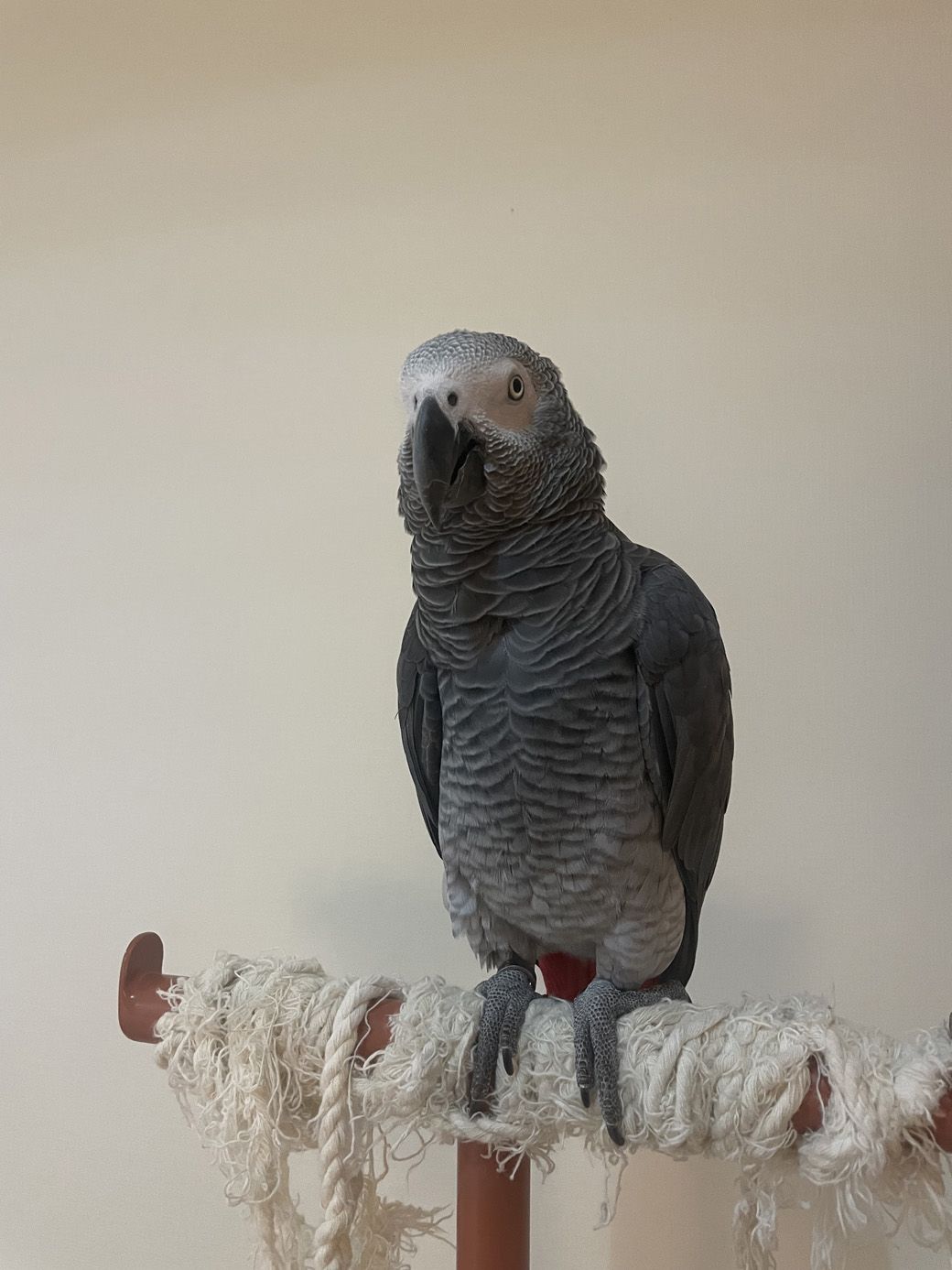 （写真提供：カマタさん）