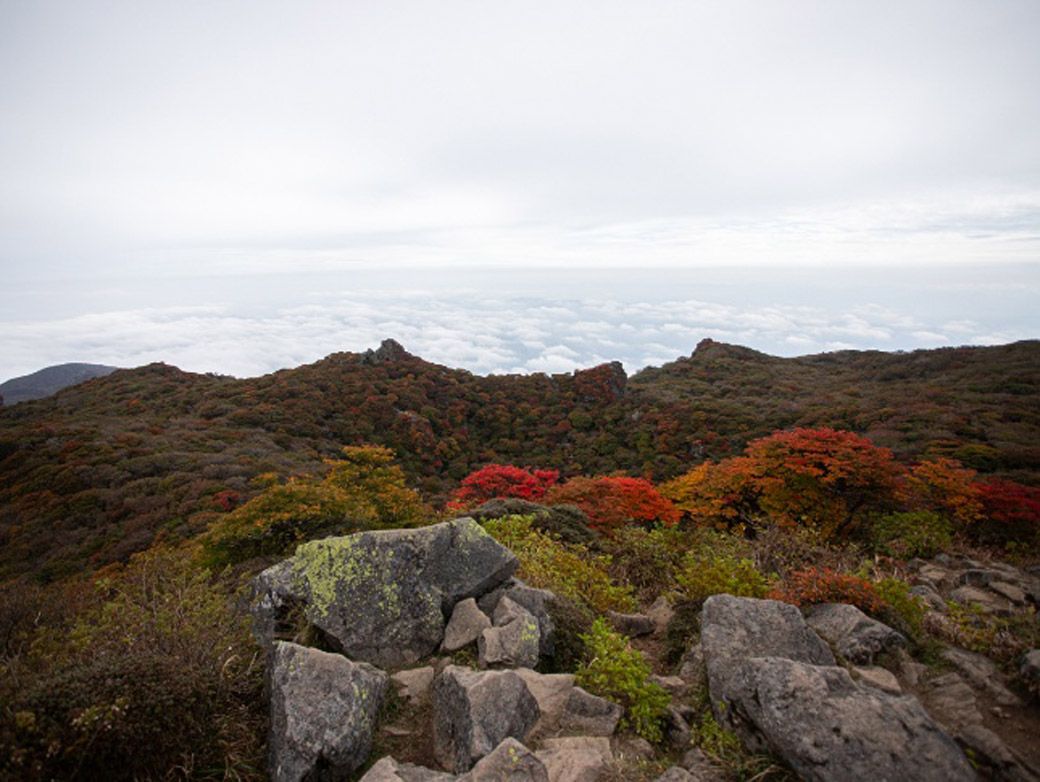 赤く色づく樹々が美しい。運が良ければ雲海も見れる（筆者撮影）