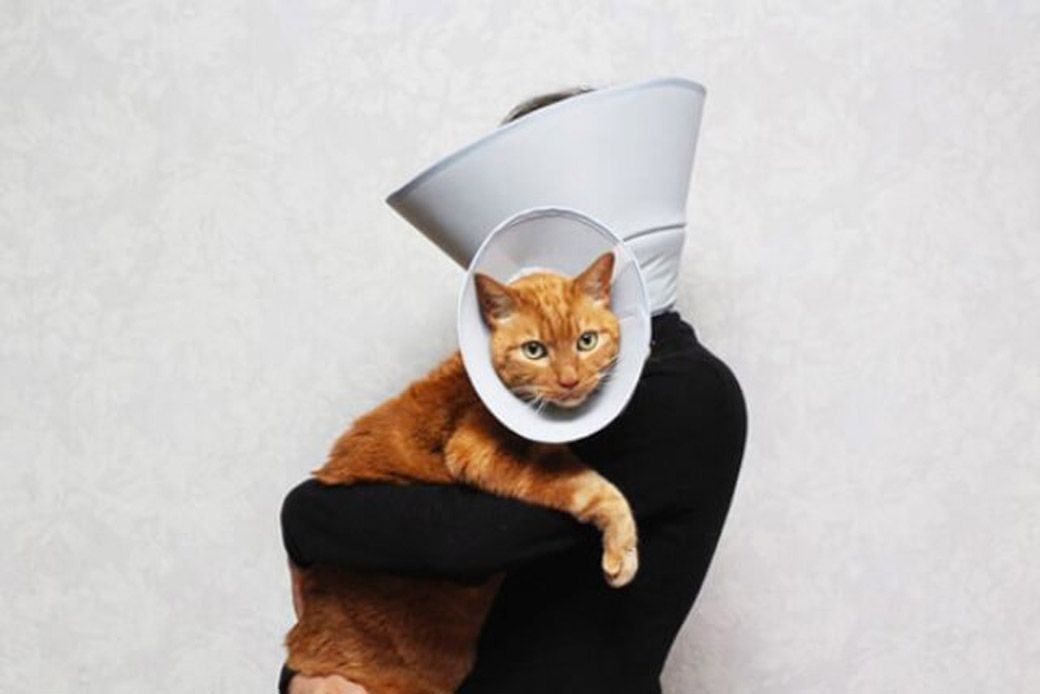 「猫になったつもり」で使用感をテスト（写真：クロス・クローバー・ジャパン）