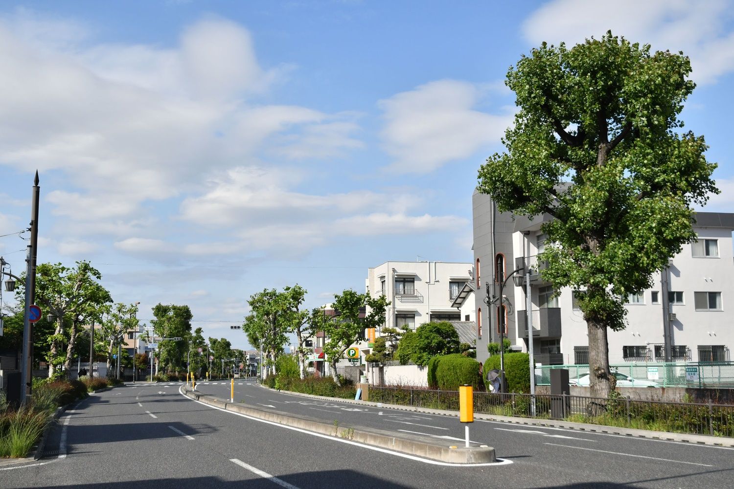 かつて路面電車が走っていた甲子園筋。周辺には閑静な住宅街が広がる（撮影：伊原薫）