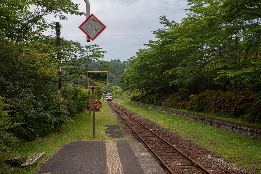 森の奥へに消えていくような列車（筆者撮影）