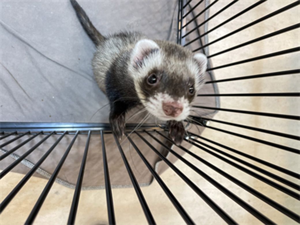 （写真提供：ミキさん）