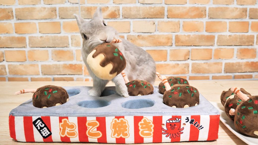 これも知育玩具。たこ焼きを引き抜くとおやつが隠れている（写真提供：やすさん）