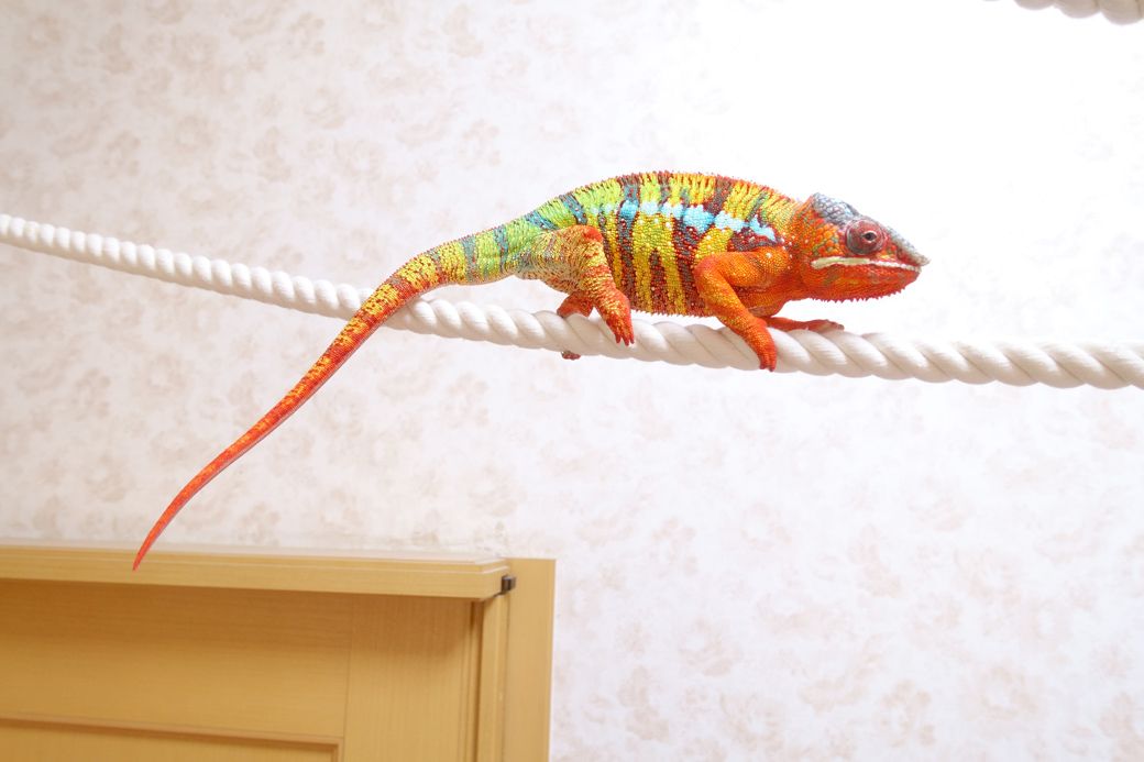 （写真提供：山村さん）