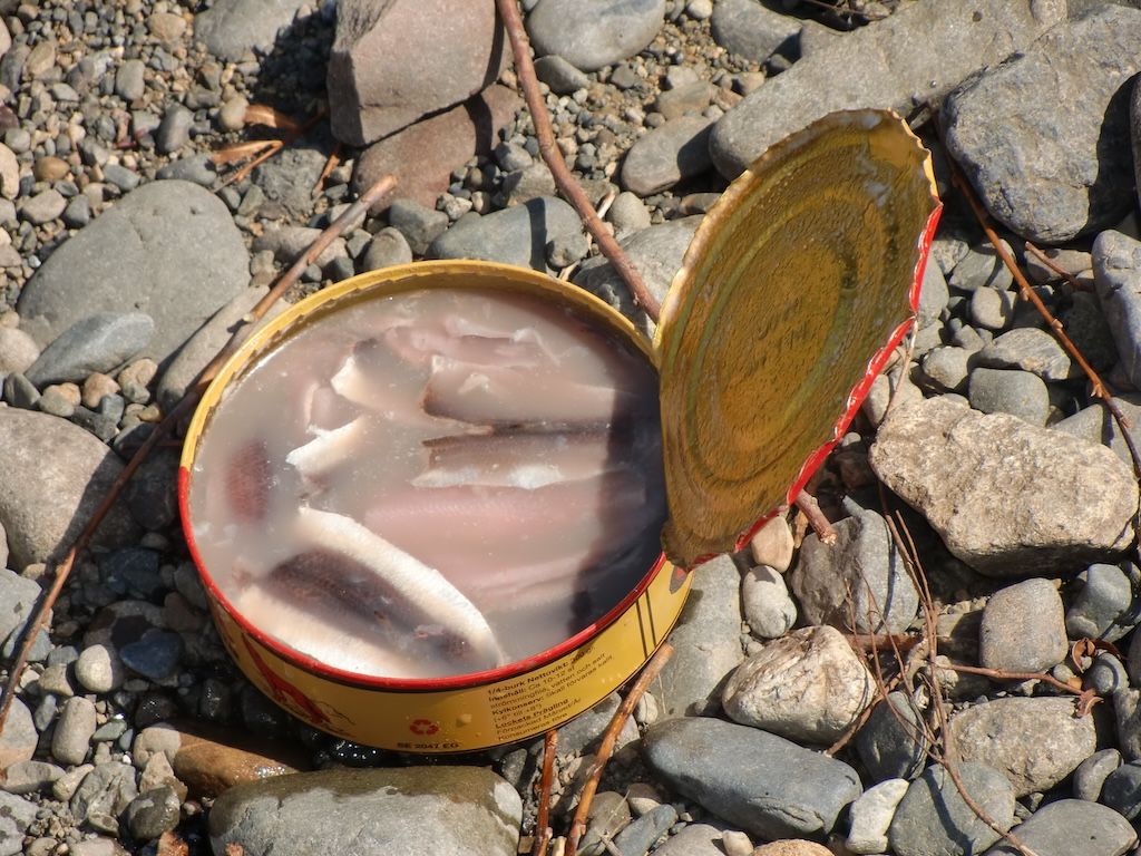 ニシンを発酵させたスウェーデンの食べ物、シュールストレミング。「世界一臭い食べ物」として有名（写真：ぱくさん提供）
