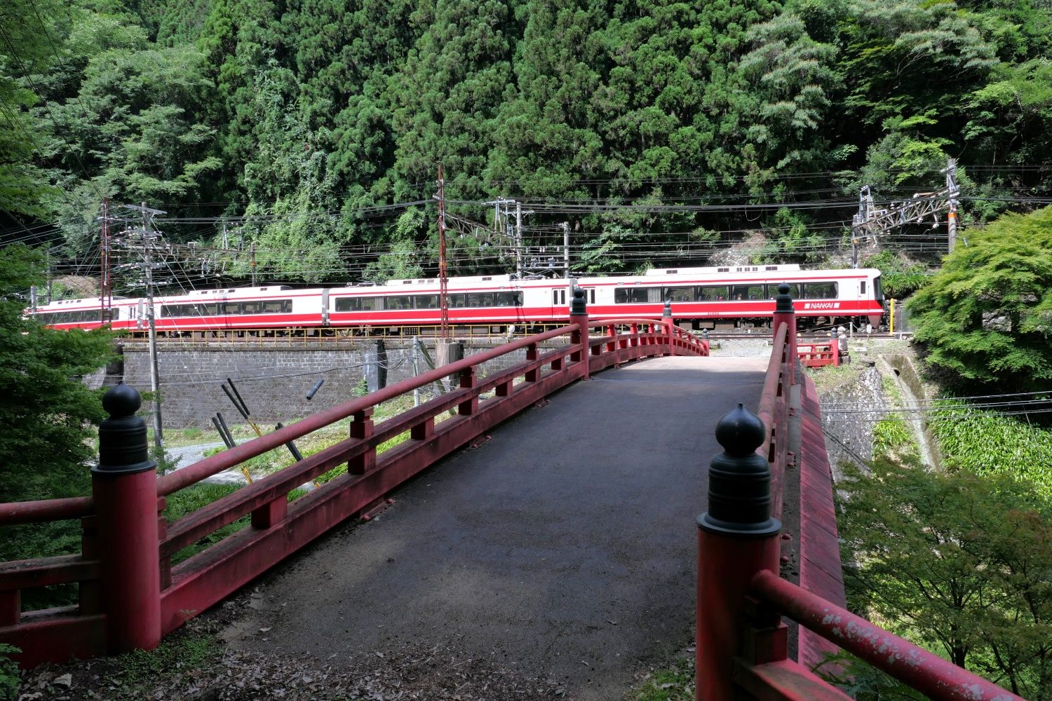 難波から直通する特急「こうや」が到着（記者撮影）