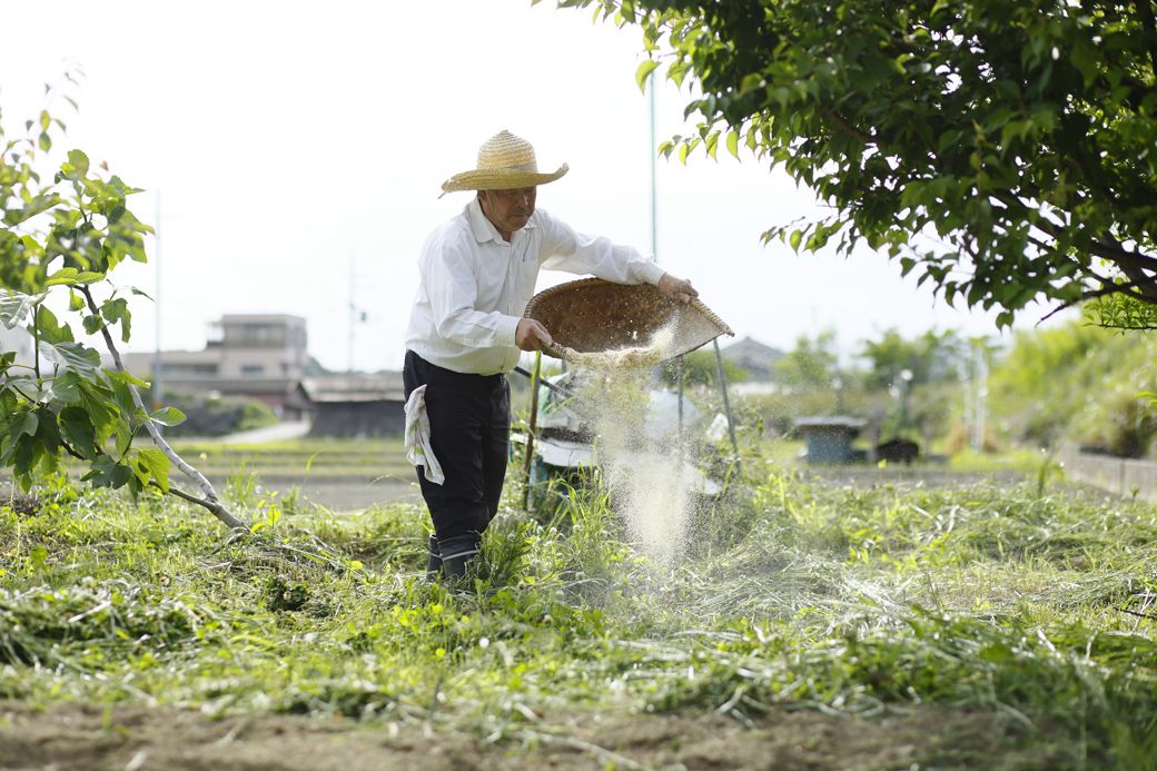 「捨ててしまうのはもったいない」と思っていた米ぬか。検証により多くの有用な成分が含まれることが証明された（写真：鈴木靴下提供）