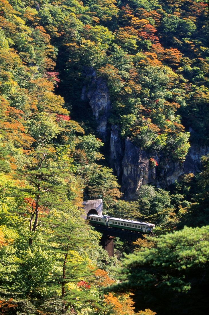 陸羽東線の鳴子峡を行く列車（撮影：南正時）