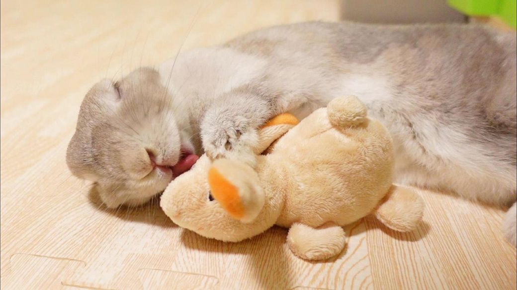 （写真提供：やすさん）