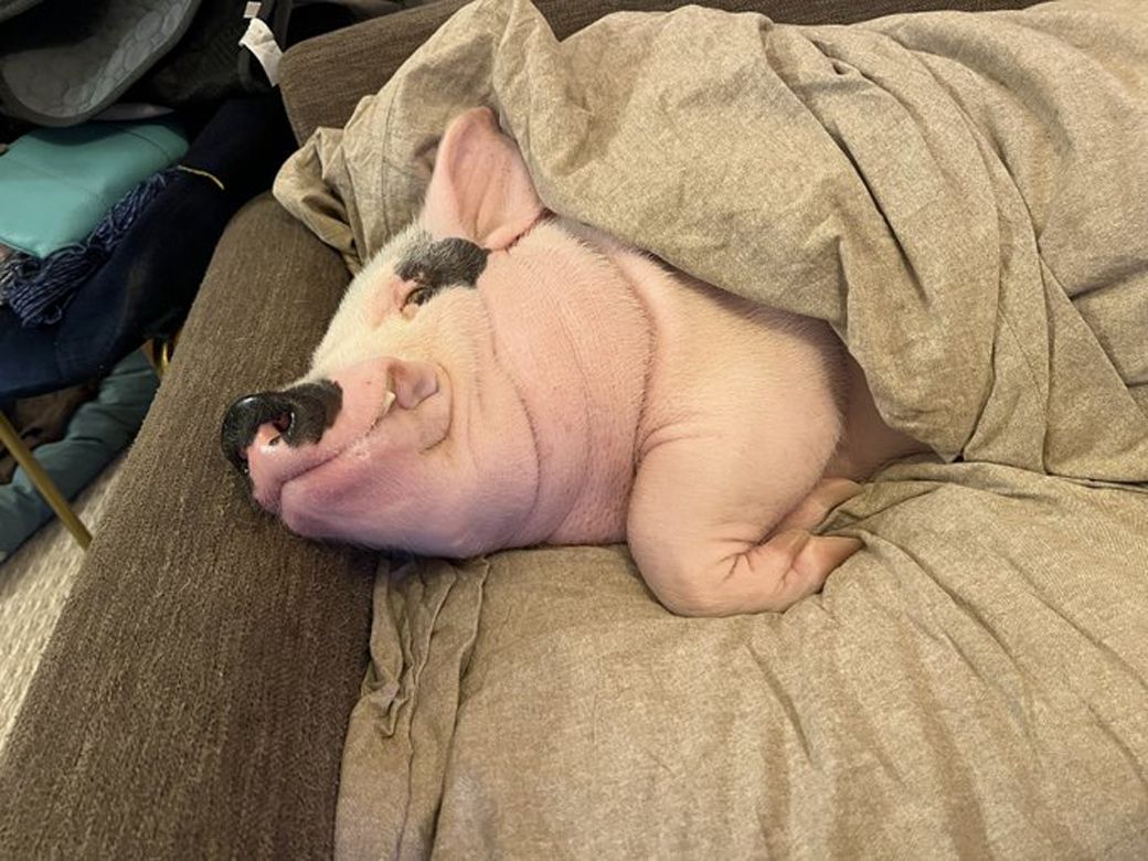 （写真提供：しおりさん）