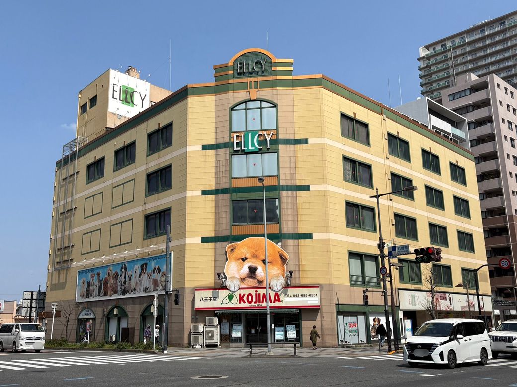 （写真：筆者撮影）