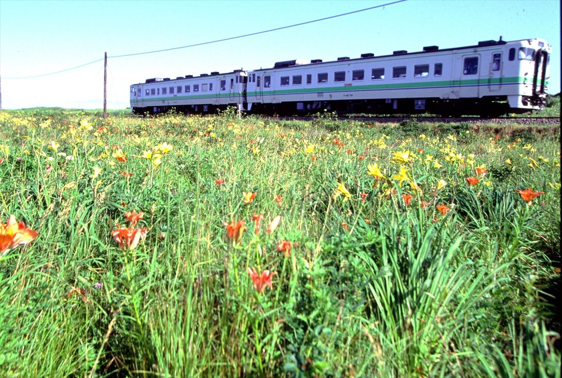 釧網本線の原生花園付近を行くキハ40形（撮影：南正時）