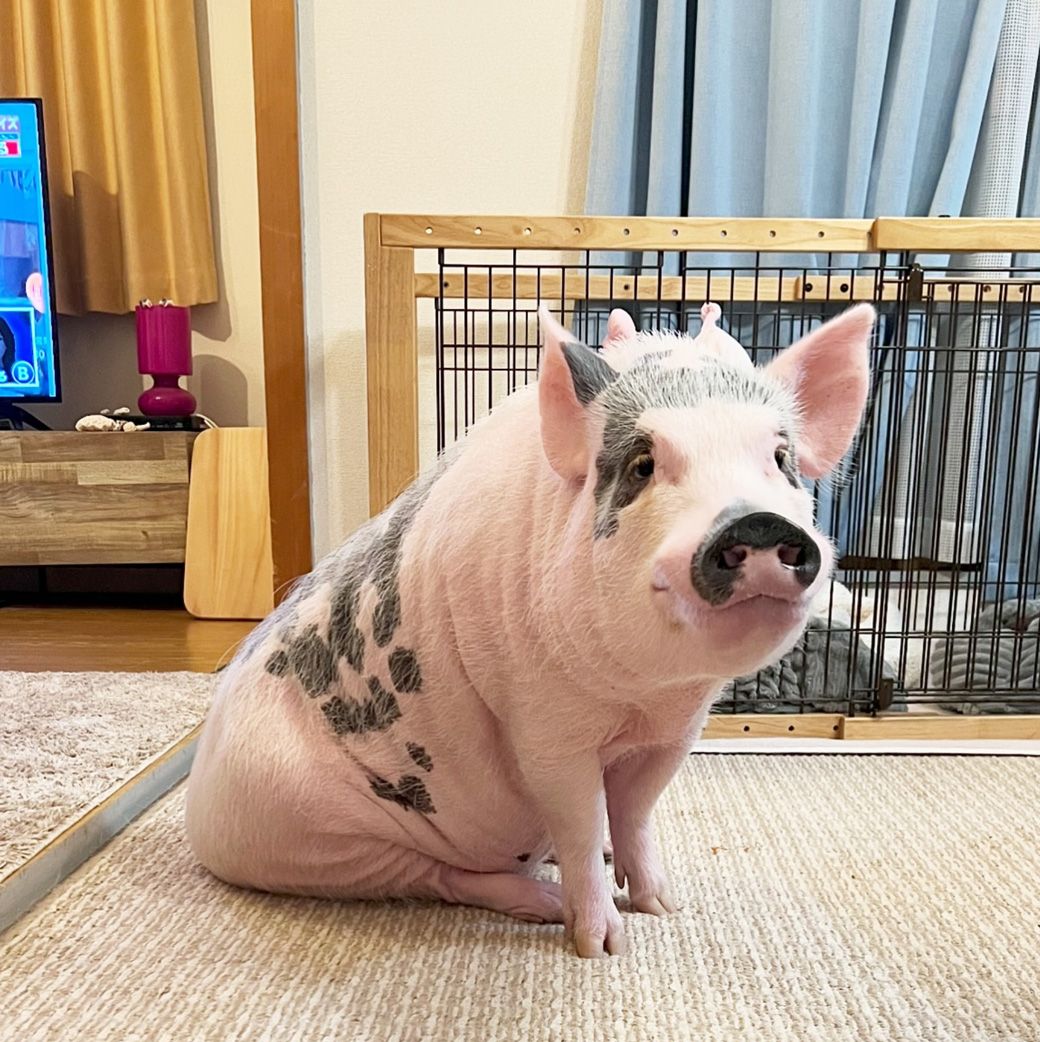 （写真提供：しおりさん）