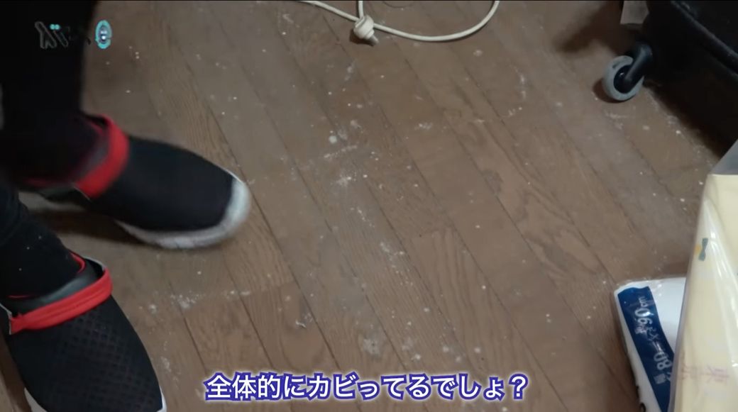 ゴミ屋敷
