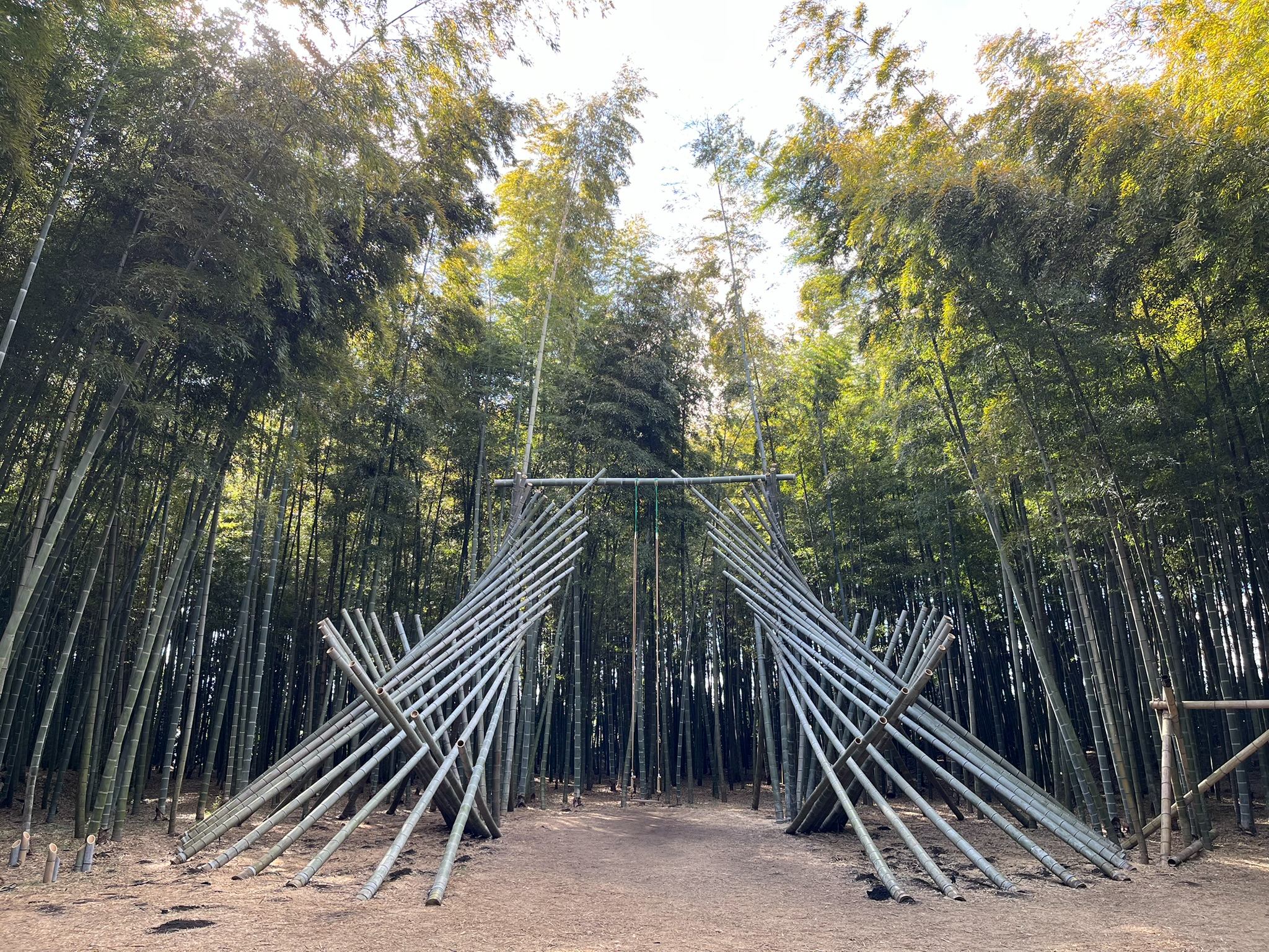 若竹の杜 若山農場