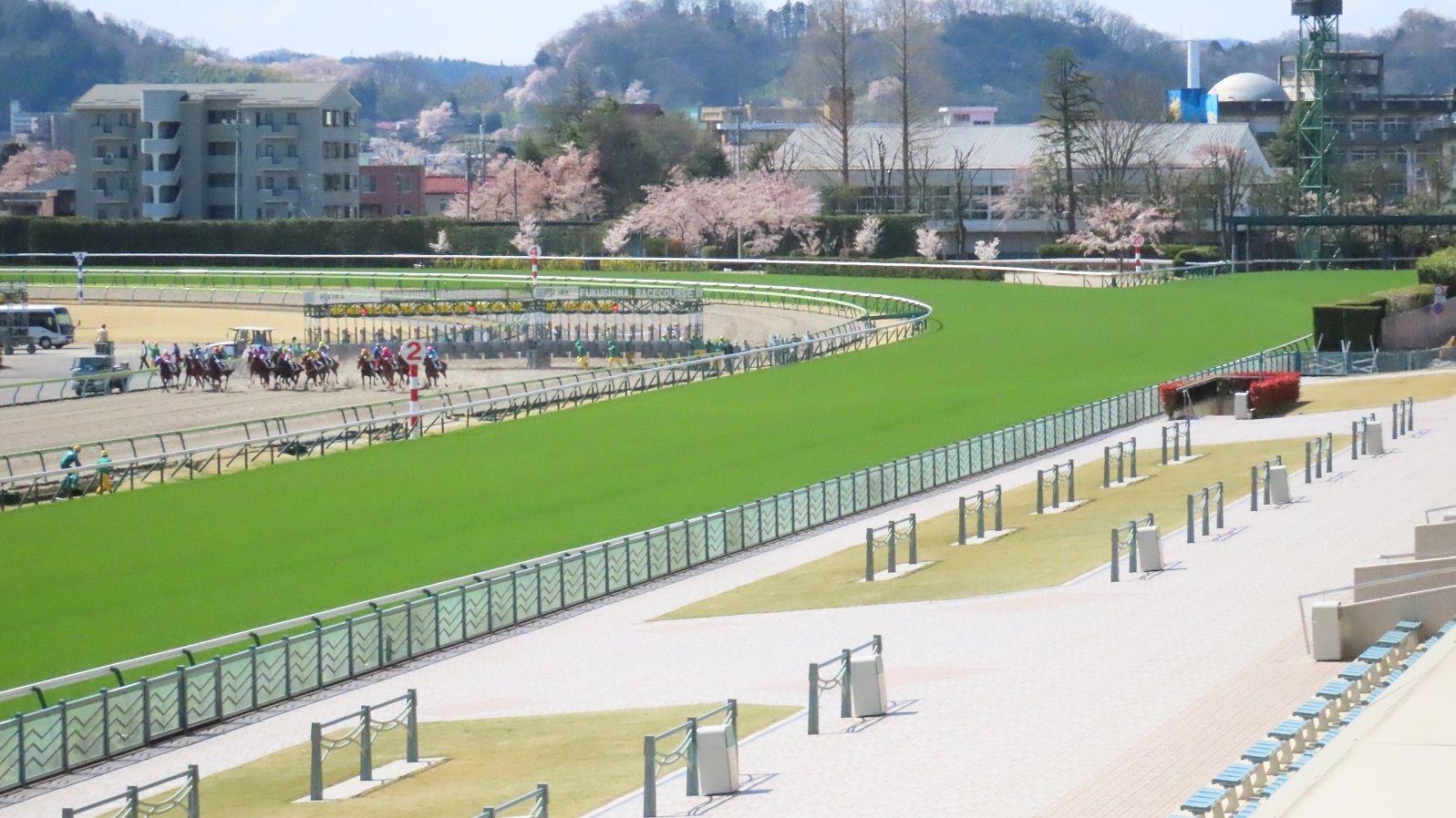 コロナ禍で競馬が無観客開催続ける大きな意義 今さら聞けない競馬のキホン 東洋経済オンライン 経済ニュースの新基準