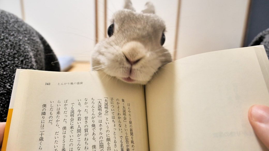 （写真：やすさん提供）
