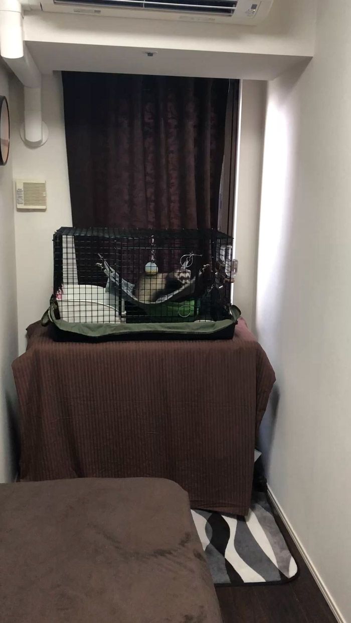 （写真提供：ミキさん）