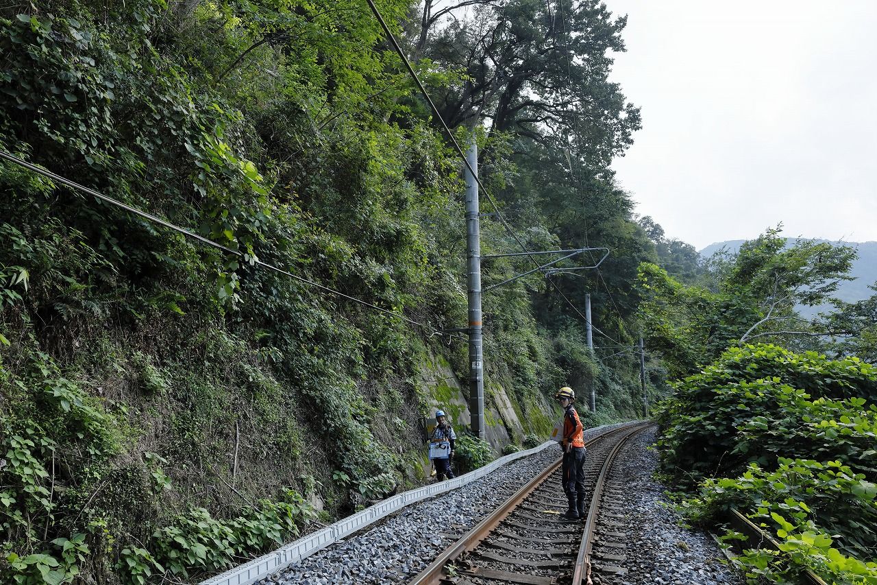 現場付近の線路を歩く。線路上にある木々がハイリスクの木となる　（筆者撮影）