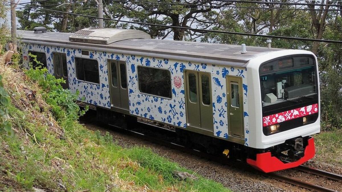 伊豆急､JR通勤車を｢ハワイアン｣に改造した狙い 元京浜東北線209系｢第3の人生｣はリゾートで | ローカル線･公共交通 | 東洋経済オンライン