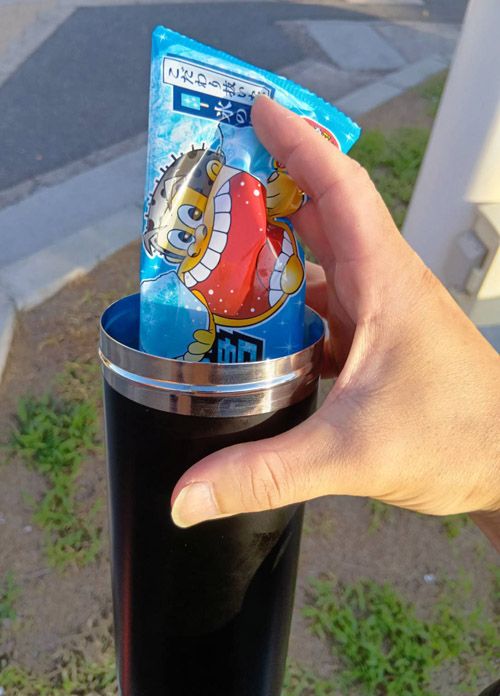 ガリガリ君もすっぽり収まった（著者撮影）
