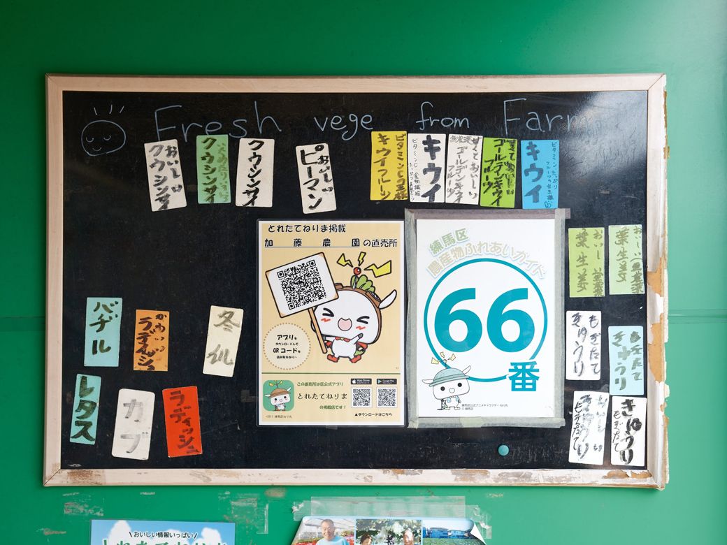 コインロッカーに並ぶ野菜を見て、田舎にいた時より季節の変化を身近に感じたものだった（筆者撮影）