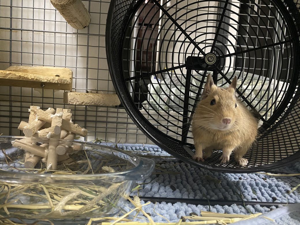 （写真：みきさん）